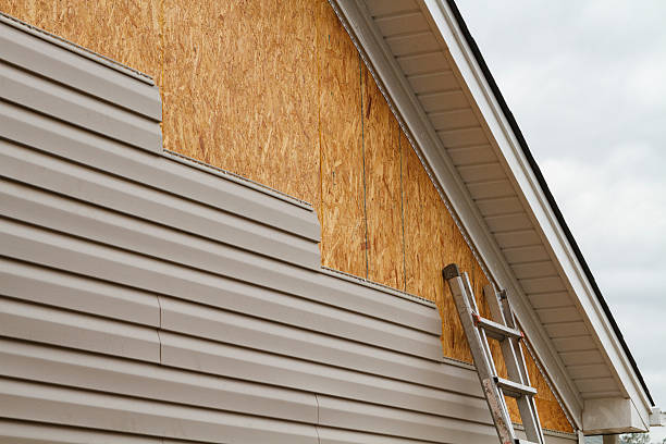 Professional Vinyl Siding technician working in New Port Richey, FL